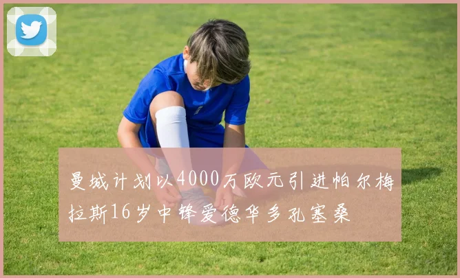 曼城计划以4000万欧元引进帕尔梅拉斯16岁中锋爱德华多孔塞桑